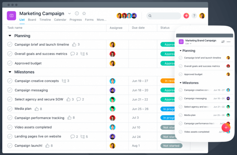 Asana task management software