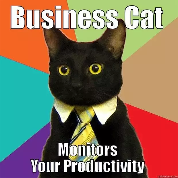 business cat meme